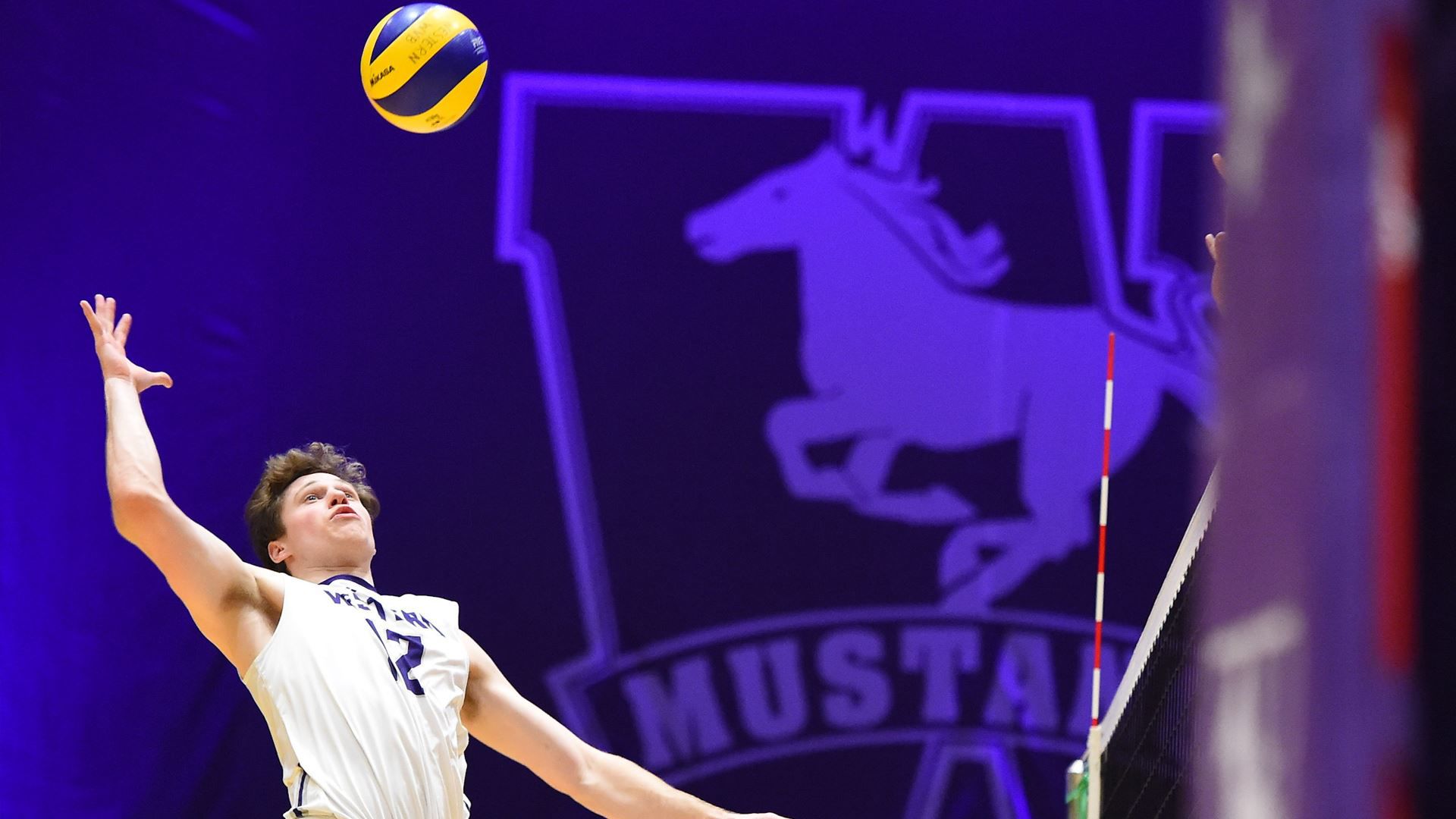 Men's Volleyball, final game